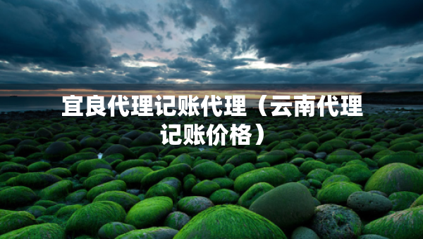 宜良代理记账代理（云南代理记账价格）