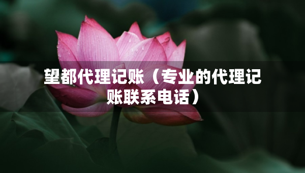 望都代理记账（专业的代理记账联系电话）