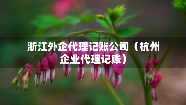 浙江外企代理记账公司（杭州企业代理记账）
