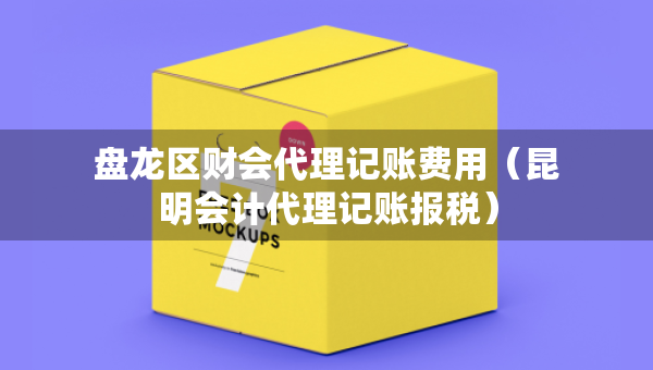 盘龙区财会代理记账费用（昆明会计代理记账报税）