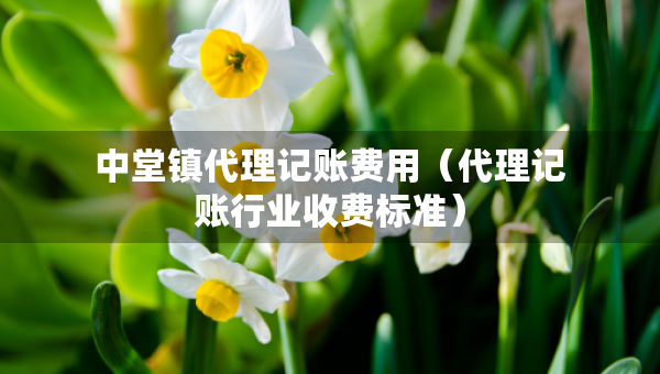 中堂镇代理记账费用（代理记账行业收费标准）