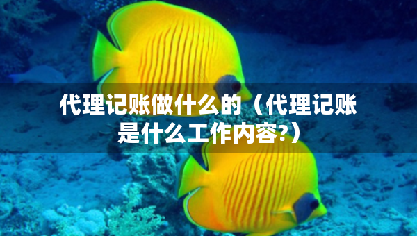 代理记账做什么的（代理记账是什么工作内容?）