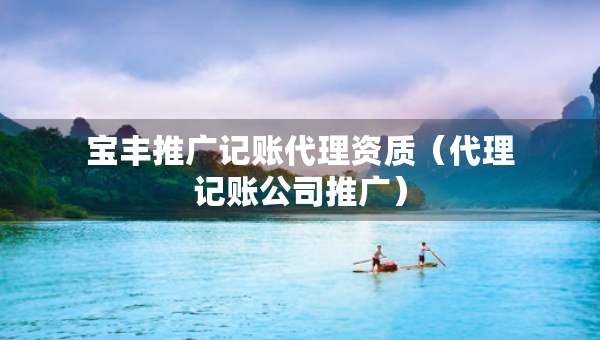 宝丰推广记账代理资质（代理记账公司推广）