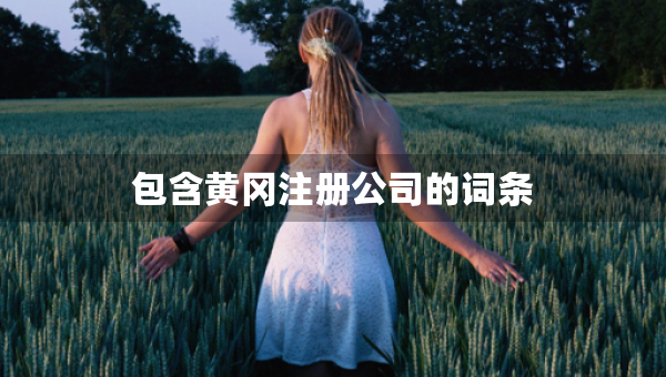 包含黄冈注册公司的词条