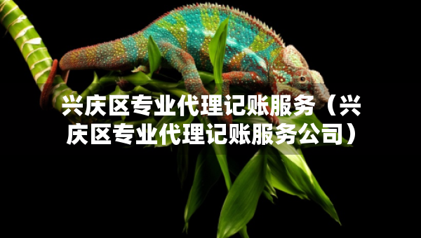 兴庆区专业代理记账服务（兴庆区专业代理记账服务公司）