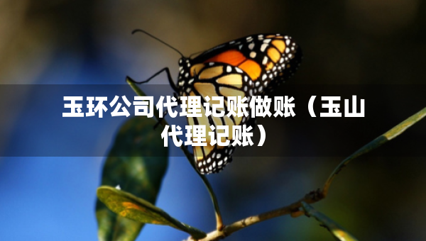 玉环公司代理记账做账（玉山代理记账）