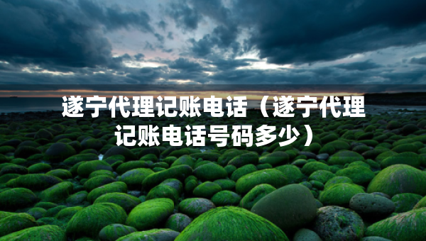 遂宁代理记账电话（遂宁代理记账电话号码多少）