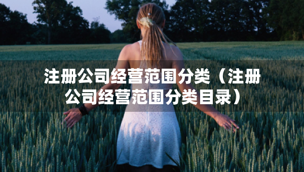 注册公司经营范围分类（注册公司经营范围分类目录）