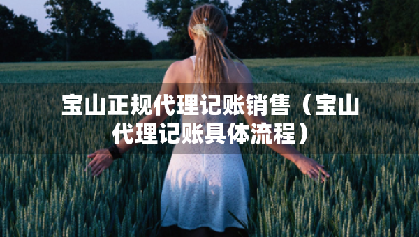 宝山正规代理记账销售（宝山代理记账具体流程）