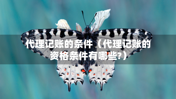 代理记账的条件（代理记账的资格条件有哪些?）