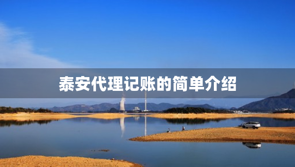 泰安代理记账的简单介绍