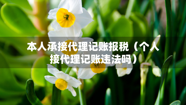 本人承接代理记账报税（个人接代理记账违法吗）