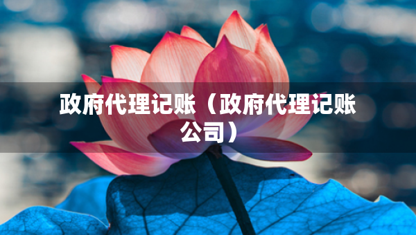 政府代理记账（政府代理记账公司）