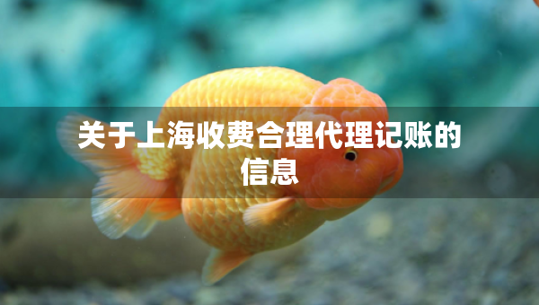 关于上海收费合理代理记账的信息