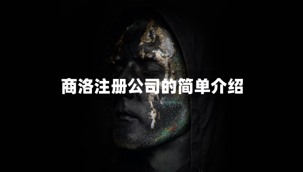 商洛注册公司的简单介绍