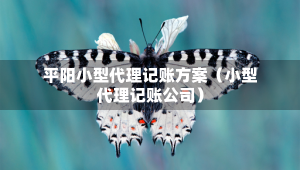 平阳小型代理记账方案（小型代理记账公司）