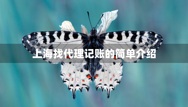 上海找代理记账的简单介绍