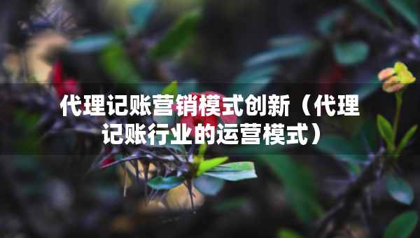 代理记账营销模式创新（代理记账行业的运营模式）