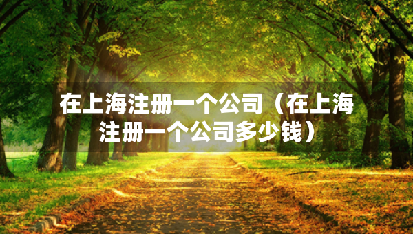 在上海注册一个公司（在上海注册一个公司多少钱）