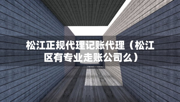 松江正规代理记账代理（松江区有专业走账公司么）