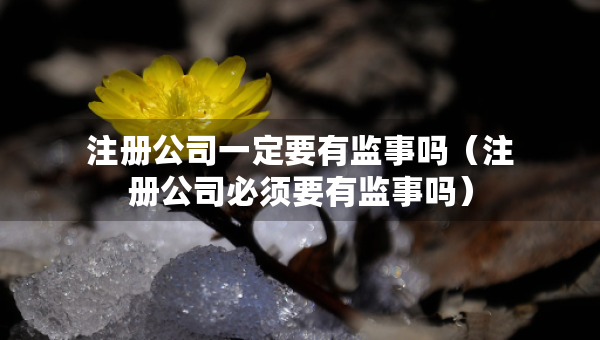 注册公司一定要有监事吗（注册公司必须要有监事吗）