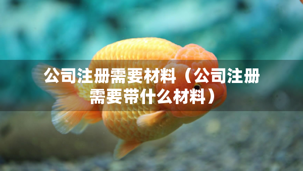 公司注册需要材料（公司注册需要带什么材料）