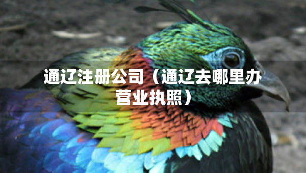 通辽注册公司（通辽去哪里办营业执照）