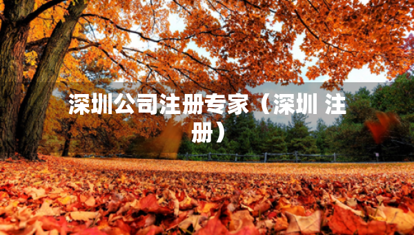 深圳公司注册专家（深圳 注册）