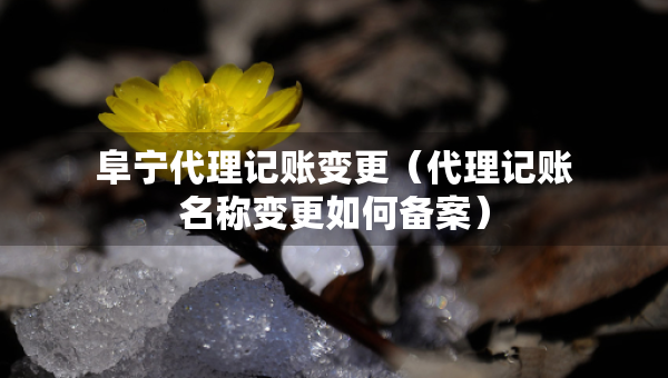 阜宁代理记账变更（代理记账名称变更如何备案）