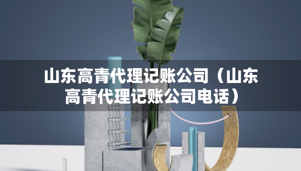 山东高青代理记账公司（山东高青代理记账公司电话）