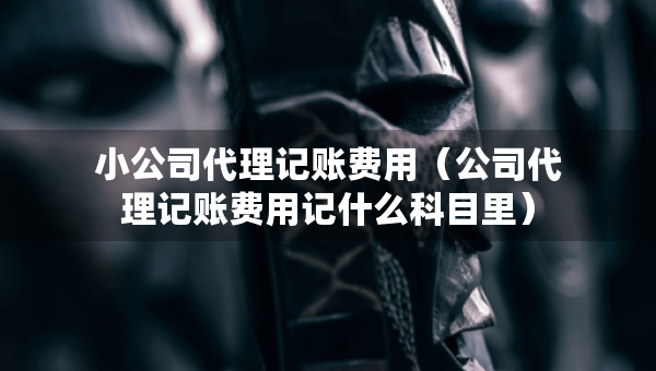 小公司代理记账费用（公司代理记账费用记什么科目里）