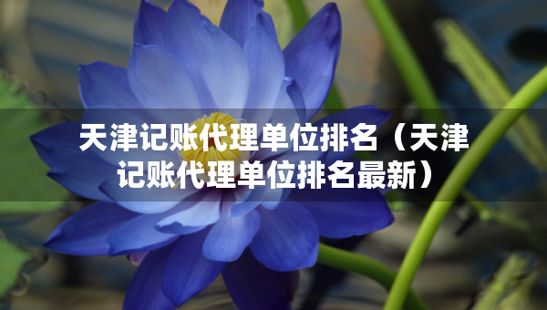 天津记账代理单位排名（天津记账代理单位排名最新）