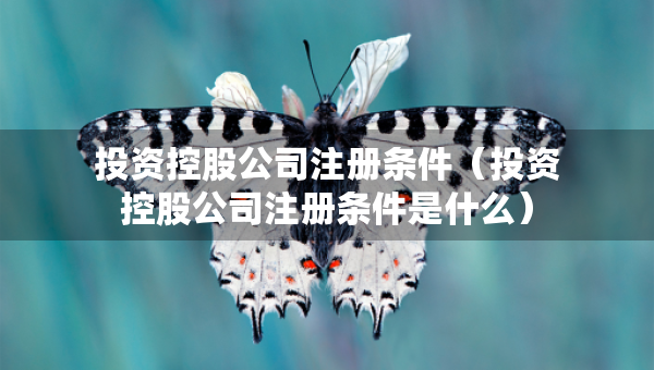 投资控股公司注册条件（投资控股公司注册条件是什么）