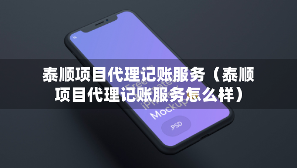 泰顺项目代理记账服务（泰顺项目代理记账服务怎么样）