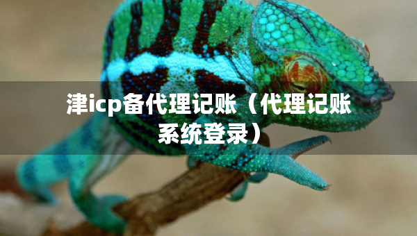 津icp备代理记账（代理记账系统登录）