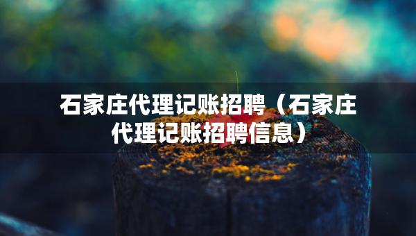 石家庄代理记账招聘（石家庄代理记账招聘信息）
