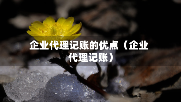 企业代理记账的优点（企业 代理记账）
