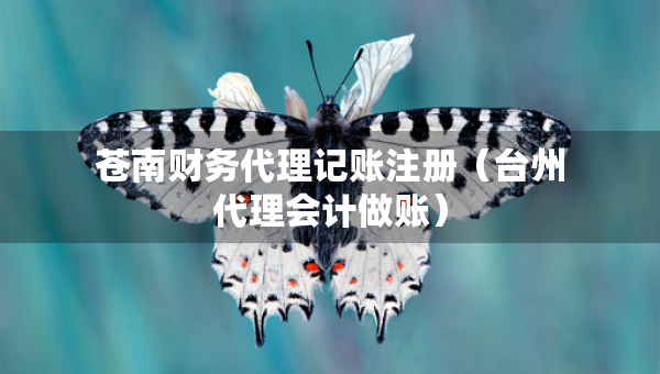苍南财务代理记账注册（台州代理会计做账）