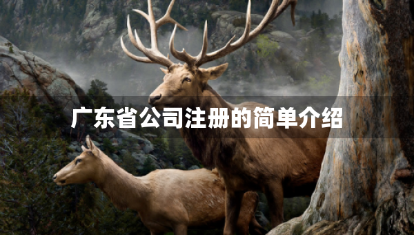 广东省公司注册的简单介绍
