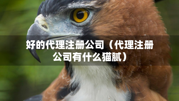 好的代理注册公司（代理注册公司有什么猫腻）