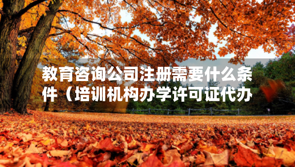 教育咨询公司注册需要什么条件（培训机构办学许可证代办公司）