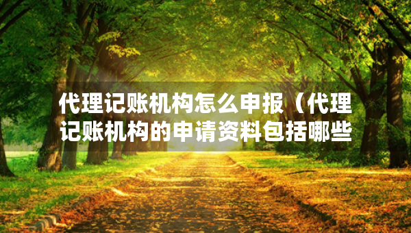 代理记账机构怎么申报（代理记账机构的申请资料包括哪些）