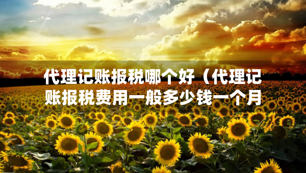 代理记账报税哪个好（代理记账报税费用一般多少钱一个月）