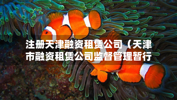 注册天津融资租赁公司（天津市融资租赁公司监督管理暂行办法）