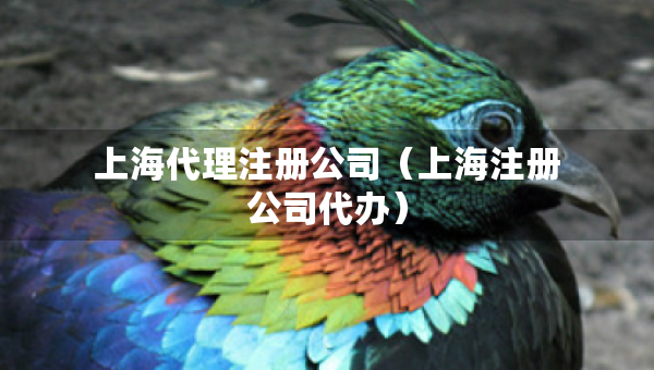 上海代理注册公司（上海注册公司代办）