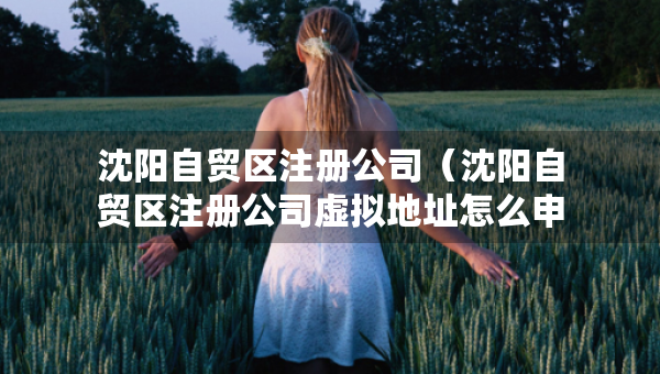 沈阳自贸区注册公司（沈阳自贸区注册公司虚拟地址怎么申请）