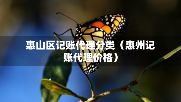 惠山区记账代理分类（惠州记账代理价格）