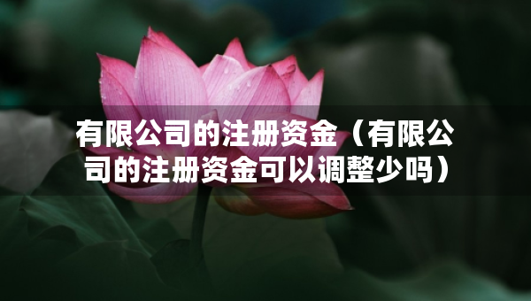 有限公司的注册资金（有限公司的注册资金可以调整少吗）