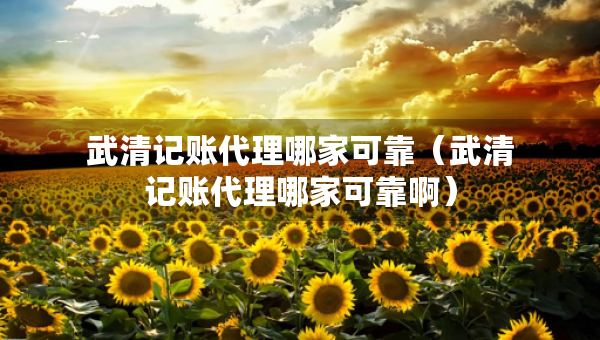 武清记账代理哪家可靠（武清记账代理哪家可靠啊）