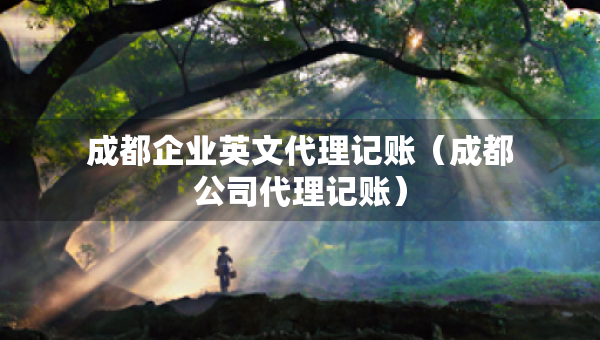 成都企业英文代理记账（成都公司代理记账）